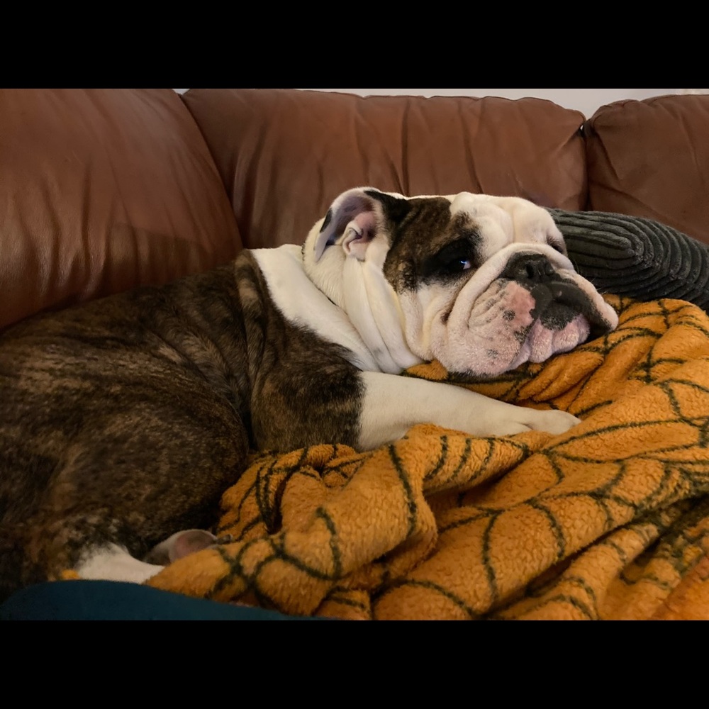 Meet your Posher, Jade